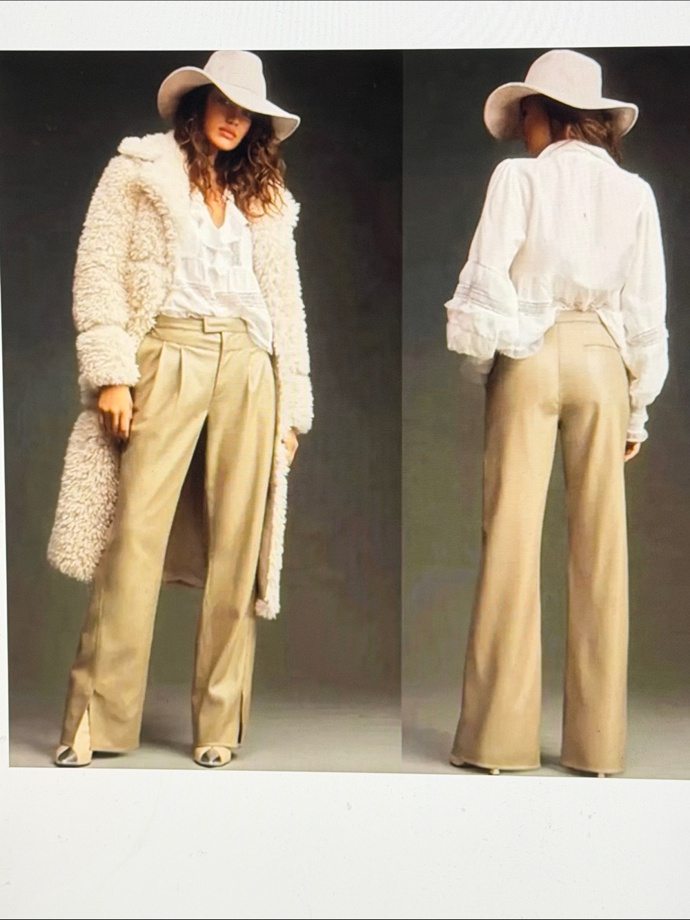 NWT Anthropologie-HUDSON JEANS Wide-Leg Pleated Trousers in Light Beige Size 31